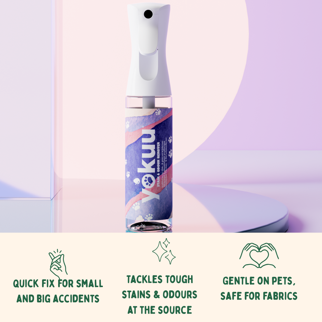 Pet deodorizer & destainer starter kit