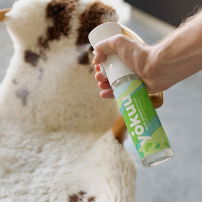Universal cleaner starter kit 1+1